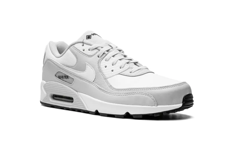 Nike Air Max Air Max 90 'Gore-Tex'